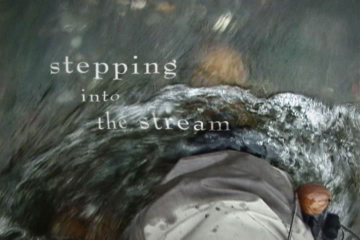 Stepping into the Stream